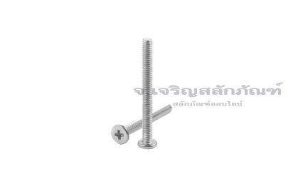 น็อตหัวแบนแบบบางหัวแฉกสแตนเลส M2.5x25