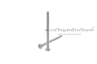 น็อตหัวแบนแบบบางหัวแฉกสแตนเลส M2.5x35