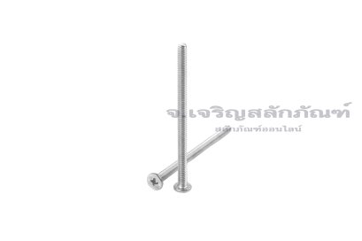 น็อตหัวแบนแบบบางหัวแฉกสแตนเลส M2.5x40