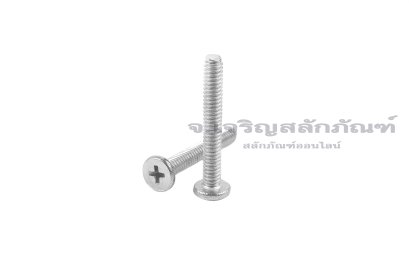 น็อตหัวแบนแบบบางหัวแฉกสแตนเลส M2x14