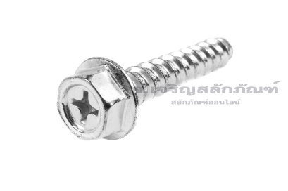 สกรูเกลียวปล่อยหัวเหลี่ยมติดจานแฉกสแตนเลส M10x60