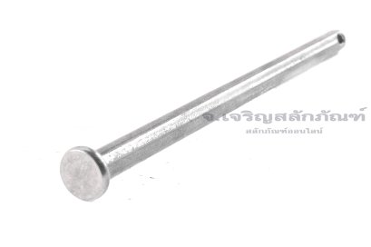 สลักหัวแบนกลม-ปิ๊นหัวแบนสแตนเลส (Stainless Steel Clevis Pin) ขนาด 5x100