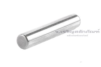 เหล็กแท่ง-เหล็กลูกปืนเข็ม (Bearing Steel Needle Roller Pin) ขนาด 3.5x20 mm