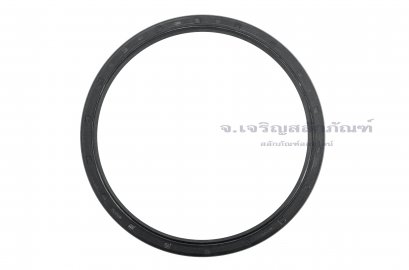 ซีลกันน้ำมัน TC 185-210-13