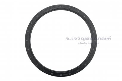 ซีลกันน้ำมัน TC 190-220-15