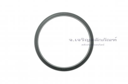 ซีลลูกสูบ-ซีลไฮดรอลิกส์ (Hydraulic Seal) ขนาด 106-120-8.5