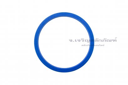 ซีลลูกสูบ-ซีลไฮดรอลิกส์ (Hydraulic Seal) ขนาด 110-125-9