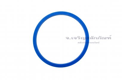 ซีลลูกสูบ-ซีลไฮดรอลิกส์ (Hydraulic Seal) ขนาด 112-125-9