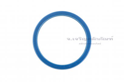 ซีลลูกสูบ-ซีลไฮดรอลิกส์ (Hydraulic Seal) ขนาด 90-105-12