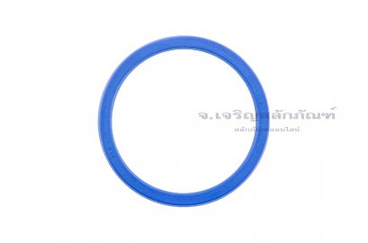 ซีลลูกสูบ-ซีลไฮดรอลิกส์ (Hydraulic Seal) ขนาด 90-105-9