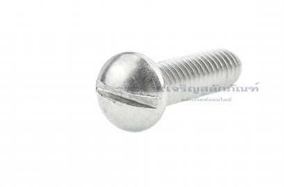 น็อตหัวร่มผ่าสแตนเลส  1/4&quot; x 1&quot;