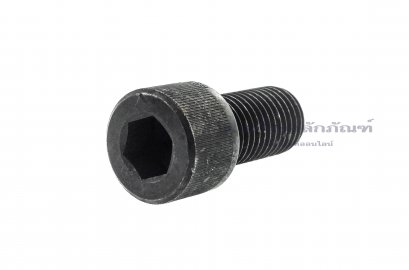 น็อตหัวจมดำ 1&quot; x  2&quot;