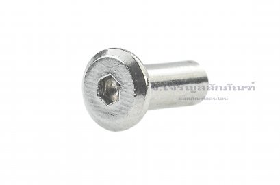 น็อตเกลียวใน-ปลอกหัวน็อต หัวจมแบนสแตนเลส Inner Thread Bolt M4x12