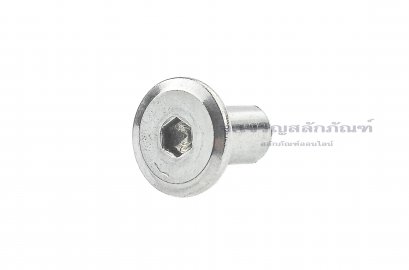 น็อตเกลียวใน-ปลอกหัวน็อต หัวจมแบนสแตนเลส Inner Thread Bolt M4x8