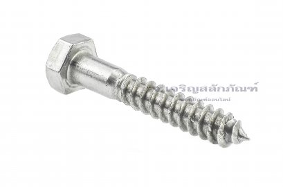 สกรูเกลียวปล่อยหัวเหลี่ยมสแตนเลส 1/2&quot;x3&quot; (12.7x76.2 mm)