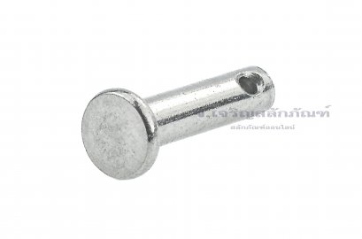 สลักหัวแบนกลม-ปิ๊นหัวแบนสแตนเลส (Stainless Steel Clevis Pin) ขนาด 4x16