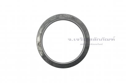 ซีลลูกสูบ-ซีลไฮดรอลิกส์ (Hydraulic Seal) ขนาด 60-73-10