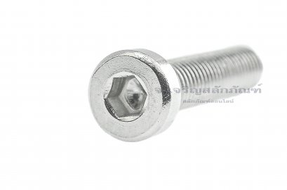 น็อตหัวจมหัวเตี้ยพิเศษ สแตนเลส M6x30