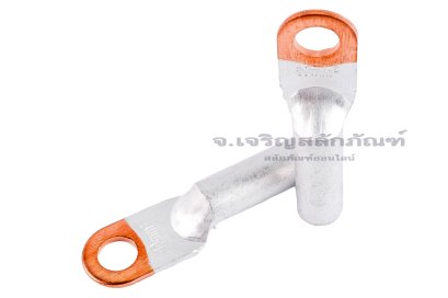 [E] หางปลาอลูมิเนียมหัวทองแดง DTL-10 เกรดมาตรฐาน รูใส่สายไฟกว้าง 6 mm ยาว&nbsp;23.7 mm รูยึด 8.4 mm