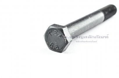 น็อตเหลี่ยมดำแข็ง M16x2.0x120