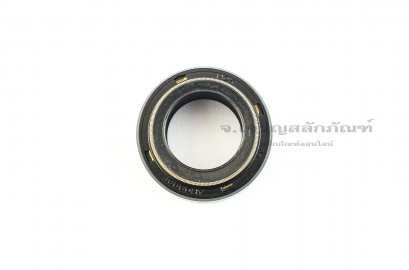 ซีลกันน้ำมัน DCY 20-32-10/15