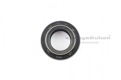 ซีลกันน้ำมัน DCY 20-34-10/15