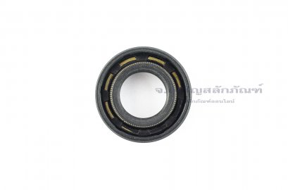 ซีลกันน้ำมัน DCY 20-36-10/15