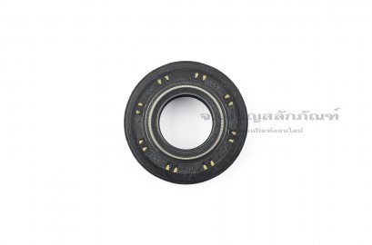 ซีลกันน้ำมัน DCY 20-41.6-13.6