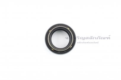 ซีลกันน้ำมัน DCY 22-34-10/15