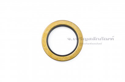 ซีลกันน้ำมัน TA2 75-105-12