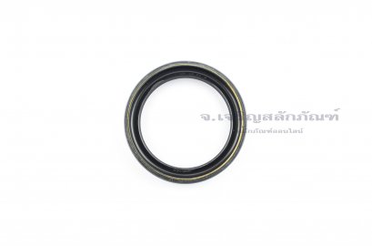 ซีลกันน้ำมัน TCY 48-62-13
