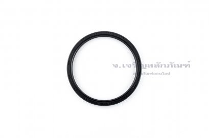 ซีลกันน้ำมัน TC 100-115-9