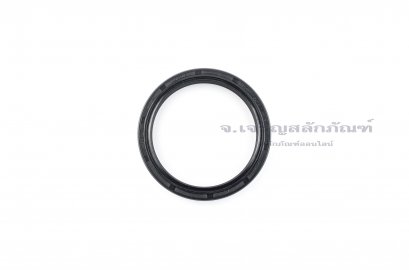 ซีลกันน้ำมัน TC 85-105-13