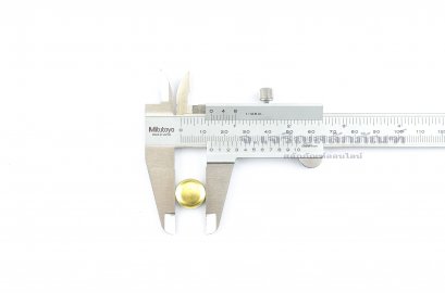 ตาน้ำทองเหลือง-ฝาอุดปิด ตราหัวสิงห์ ขนาด 14x7.8