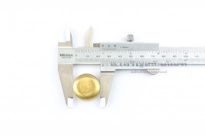 ตาน้ำทองเหลือง-ฝาอุดปิด ตราหัวสิงห์ ขนาด 24x11.5