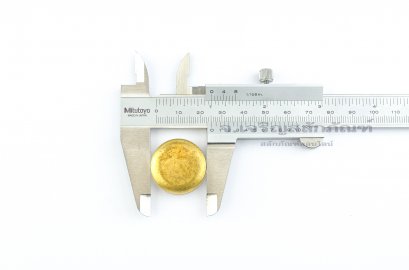 ตาน้ำทองเหลือง-ฝาอุดปิด ตราหัวสิงห์ ขนาด 25x10.5