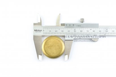 ตาน้ำทองเหลือง-ฝาอุดปิด ตราหัวสิงห์ ขนาด 36x11.8