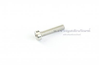 น็อตหัวจมหัวเตี้ยพิเศษ สแตนเลส M6x25