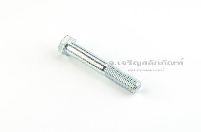 น็อตหัวเหลี่ยมขาว M10x60