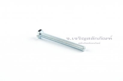 น็อตหัวเหลี่ยมขาว M5x45