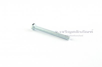 น็อตหัวเหลี่ยมขาว M5x50