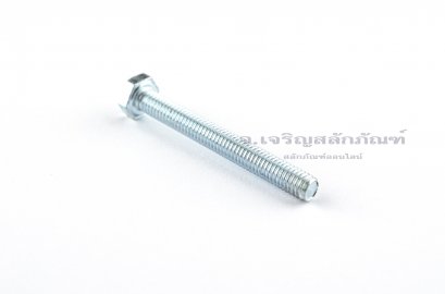 น็อตหัวเหลี่ยมขาว M6x40