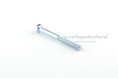 น็อตหัวเหลี่ยมขาว M6x60