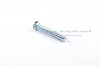 น็อตหัวเหลี่ยมขาว M8x50