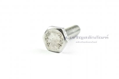 น็อตหัวเหลี่ยมสแตนเลส Stainless Steel Hex Bolt 3/8&quot;x1.1/2&quot; 