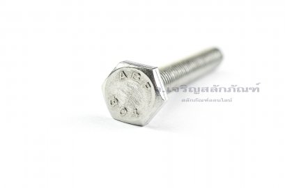 น็อตหัวเหลี่ยมสแตนเลส Stainless Steel Hex Bolt 3/8&quot;x3&quot; 