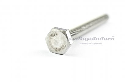 น็อตหัวเหลี่ยมสแตนเลส Stainless Steel Hex Bolt 5/16&quot;x3.1/2&quot;