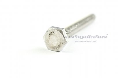 น็อตหัวเหลี่ยมสแตนเลส Stainless Steel Hex Bolt 5/16&quot;x3&quot;
