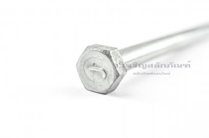 น็อตหัวเหลี่ยมสแตนเลส Stainless Steel Hex Bolt 3/8"x7"  เกลียวไม่ตลอด