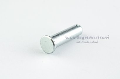 สลักหัวแบนกลม-ปิ๊นหัวแบน (Steel Clevis Pin) ขนาด 12x40